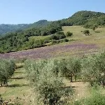 La Banditaccia * Cinigiano
