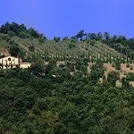 La Banditaccia