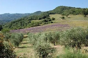 La Banditaccia * Cinigiano